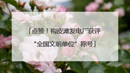 点赞！构皮滩发电厂获评“全国文明单位”称号