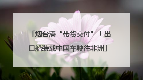 烟台港“带货交付”！出口船装载中国车驶往非洲