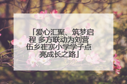 爱心汇聚、筑梦启程 多方联动为刘营伍乡崔寨小学学子点亮成长之路