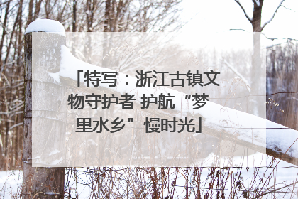 特写：浙江古镇文物守护者 护航“梦里水乡”慢时光