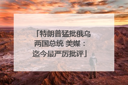 特朗普猛批俄乌两国总统 美媒：迄今最严厉批评