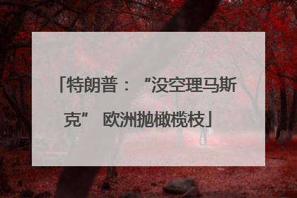 特朗普：“没空理马斯克” 欧洲抛橄榄枝