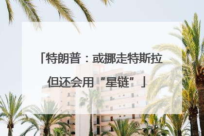 特朗普：或挪走特斯拉 但还会用“星链”