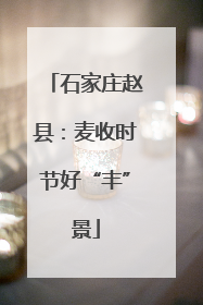 石家庄赵县：麦收时节好“丰”景