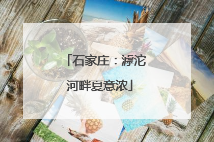 石家庄：滹沱河畔夏意浓