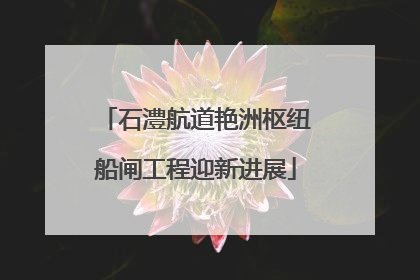 石澧航道艳洲枢纽船闸工程迎新进展