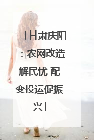 甘肃庆阳：农网改造解民忧 配变投运促振兴