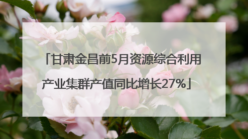 甘肃金昌前5月资源综合利用产业集群产值同比增长27%