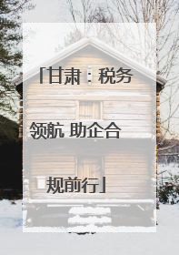 甘肃：税务领航 助企合规前行