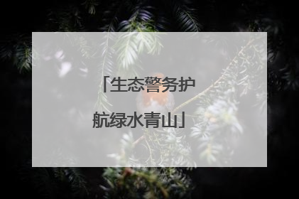 生态警务护航绿水青山