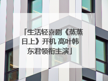 生活轻喜剧《蒸蒸日上》开机 高叶韩东君领衔主演