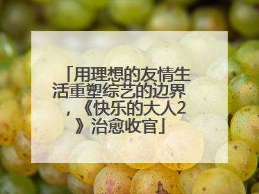 用理想的友情生活重塑综艺的边界，《快乐的大人2》治愈收官