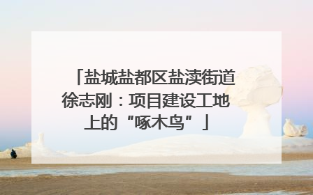 盐城盐都区盐渎街道徐志刚：项目建设工地上的“啄木鸟”