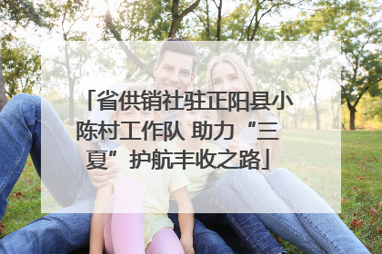 省供销社驻正阳县小陈村工作队 助力“三夏”护航丰收之路