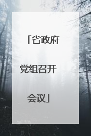 省政府党组召开会议