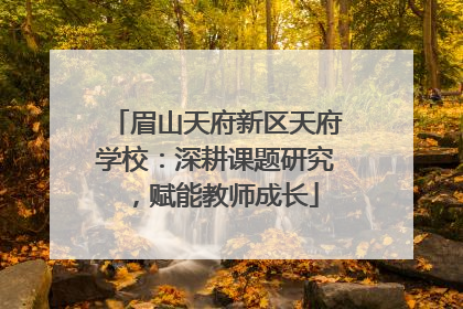 眉山天府新区天府学校：深耕课题研究，赋能教师成长