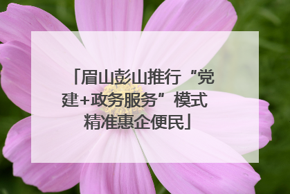 眉山彭山推行“党建+政务服务”模式 精准惠企便民