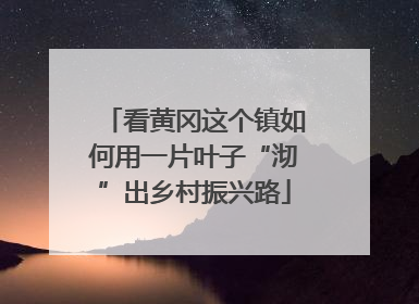 看黄冈这个镇如何用一片叶子“沏”出乡村振兴路
