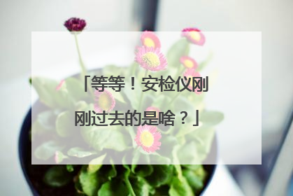 等等！安检仪刚刚过去的是啥？