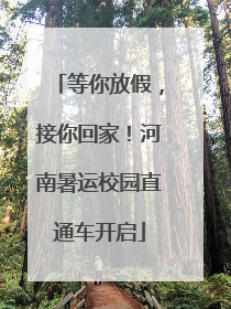 等你放假，接你回家！河南暑运校园直通车开启