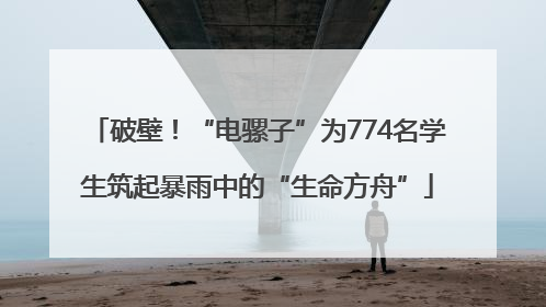 破壁！“电骡子”为774名学生筑起暴雨中的“生命方舟”