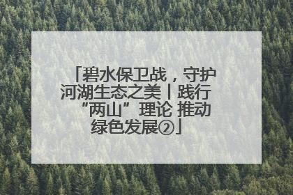 碧水保卫战，守护河湖生态之美丨践行“两山”理论 推动绿色发展②