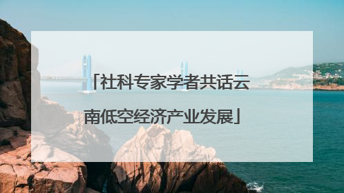 社科专家学者共话云南低空经济产业发展