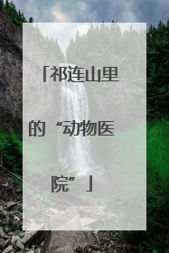 祁连山里的“动物医院”