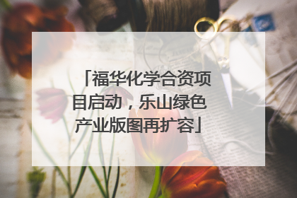 福华化学合资项目启动，乐山绿色产业版图再扩容