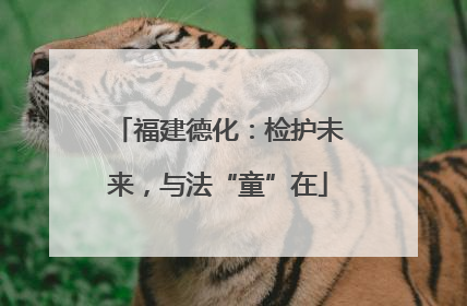 福建德化：检护未来，与法“童”在