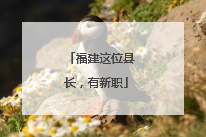 福建这位县长，有新职