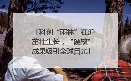 科创“雨林”在沪茁壮生长，“硬核”成果吸引全球目光