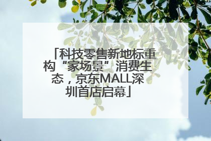 科技零售新地标重构“家场景”消费生态，京东MALL深圳首店启幕