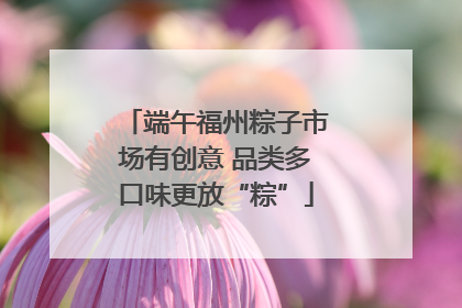 端午福州粽子市场有创意 品类多口味更放“粽”