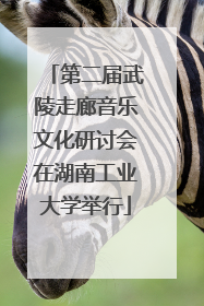 第二届武陵走廊音乐文化研讨会在湖南工业大学举行