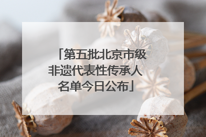 第五批北京市级非遗代表性传承人名单今日公布