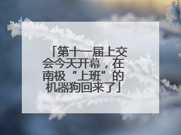 第十一届上交会今天开幕，在南极“上班”的机器狗回来了
