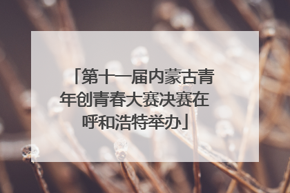 第十一届内蒙古青年创青春大赛决赛在呼和浩特举办