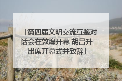 第四届文明交流互鉴对话会在敦煌开幕 胡昌升出席开幕式并致辞
