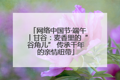 网络中国节·端午丨甘谷：麦香里的“谷角儿” 传承千年的亲情纽带