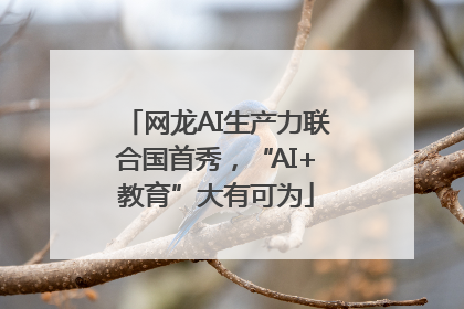 网龙AI生产力联合国首秀，“AI+教育”大有可为