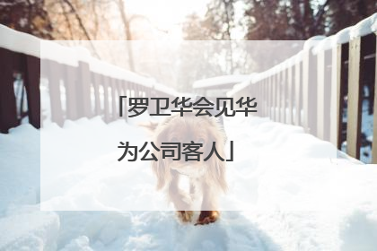 罗卫华会见华为公司客人