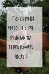 罗山县供电公司：内外兼顾 提升防汛保电能力