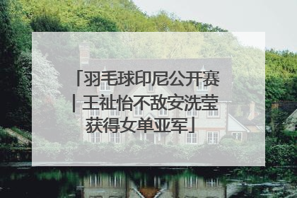 羽毛球印尼公开赛｜王祉怡不敌安洗莹 获得女单亚军