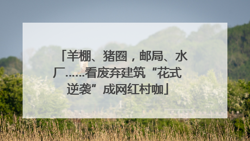 羊棚、猪圈，邮局、水厂……看废弃建筑“花式逆袭”成网红村咖