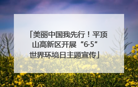 美丽中国我先行！平顶山高新区开展“6·5”世界环境日主题宣传