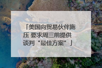 美国向贸易伙伴施压 要求周三前提供谈判“最佳方案”