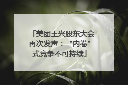 美团王兴股东大会再次发声：“内卷”式竞争不可持续