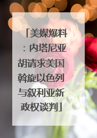 美媒爆料：内塔尼亚胡请求美国斡旋以色列与叙利亚新政权谈判