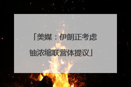 美媒：伊朗正考虑铀浓缩联营体提议